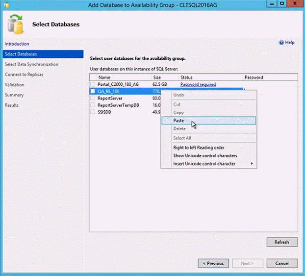 Pasting in the Encrypted Password